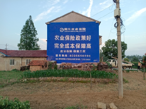 永州墙体广告的优劣势你知道吗？